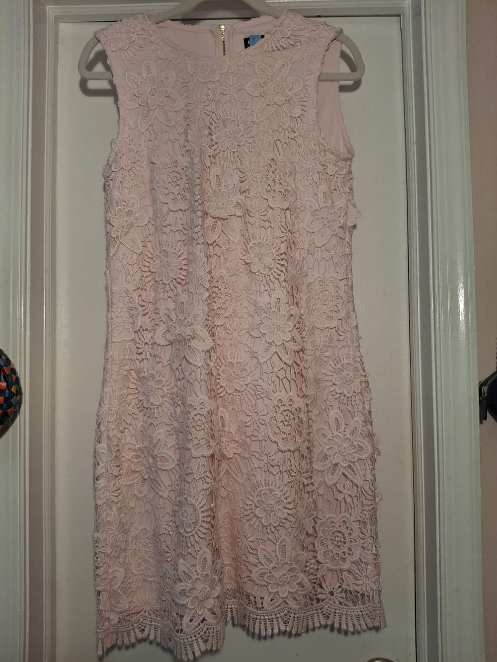 Karl Lagerfeld Blush Pink Floral Lace Mini Dress